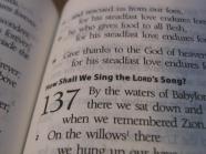 scripture_closeup_0_preview