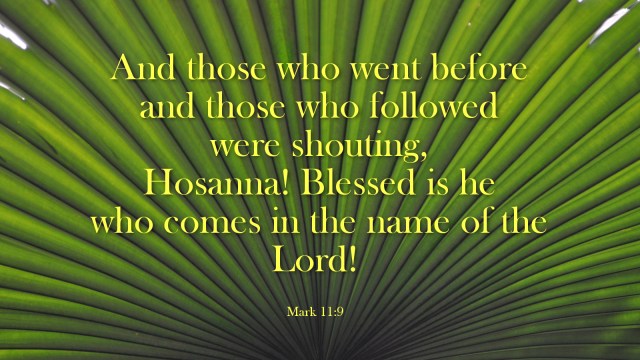 Mark 11_9